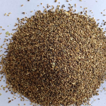 بذر خشک کاهو( طبع سرد)
