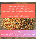 دان جوجه استاتر عمده 80 کیلویی