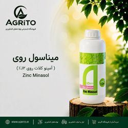 میناسول روی جنوبگان