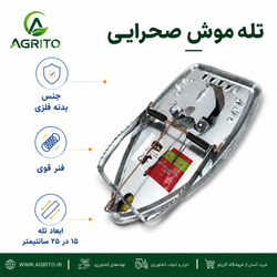 تله موش صحرایی