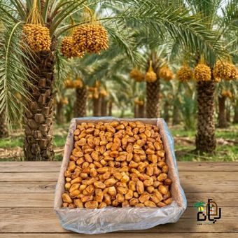 خرمای زاهدی زرد کارتن 5 کیلویی