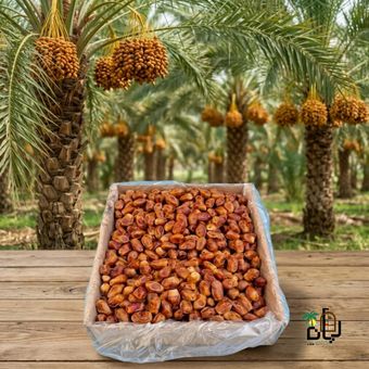 خرما زاهدی قرمز درجه یک  کارتن 5کیلویی