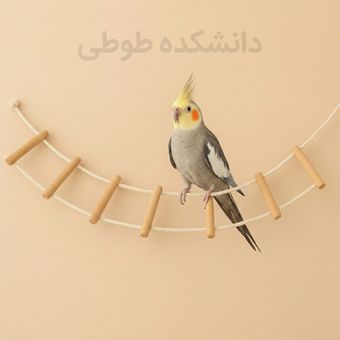 نردبان و تاب معلق سایز بزرگ