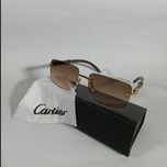 عینک آفتابی مردانه کارتیر فریم لس کد 001