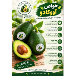 آووکادو بیکن با کیفیت فوق‌العاده (وزن بین 200 تا 240 گرم)