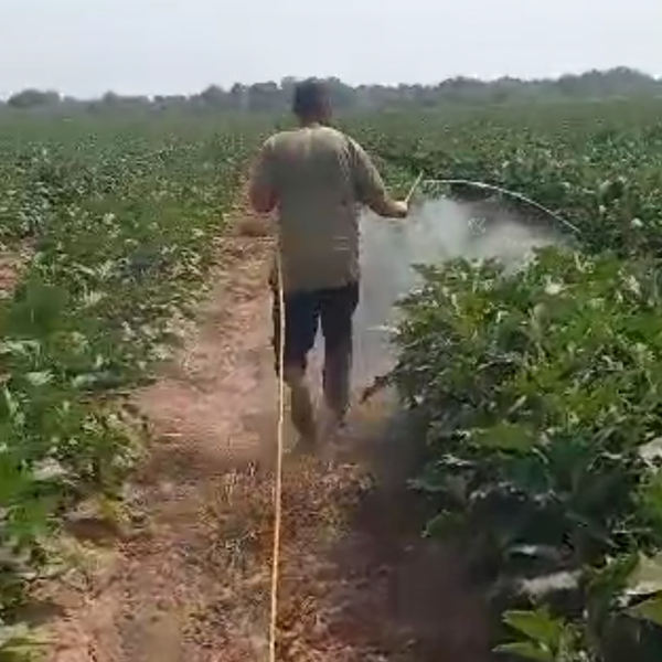 لانس سمپاشی نیم گرد مخصوص بادمجان و گیاهان پر حجم