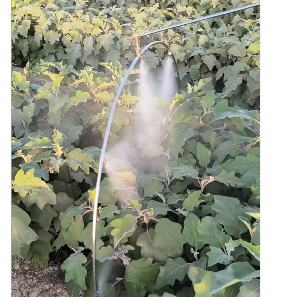 لانس سمپاشی نیم گرد مخصوص بادمجان و گیاهان پر حجم