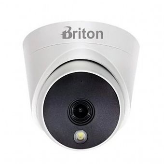 Briton- 212T41P2-C