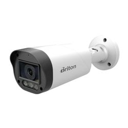 Briton - 64C59Z