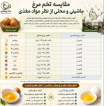 تخم مرغ محلی 6 عدد برند مادر
