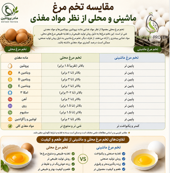 تخم مرغ محلی 6 عدد برند مادر