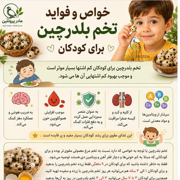 تخم مرغ محلی و تخم بلدرچین میکس برند مادر