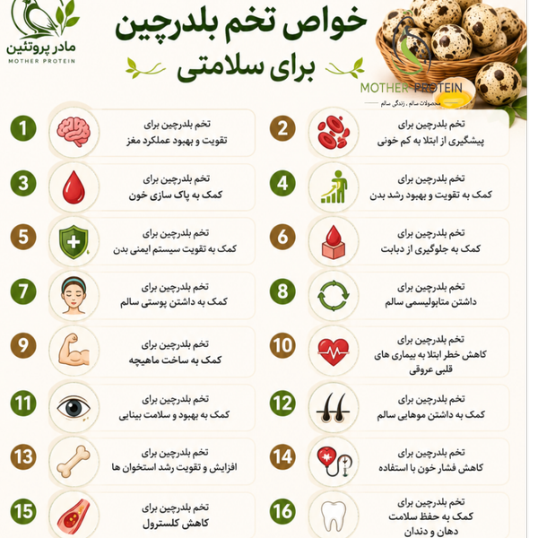 تخم بلدرچین بسته 12 عددی برند مادر