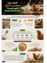 دان بوقلمون گوشتی صنعتی 5 کیلویی
