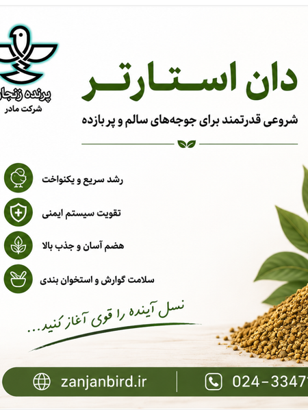 دان استاتر صنعتی 5 کیلویی