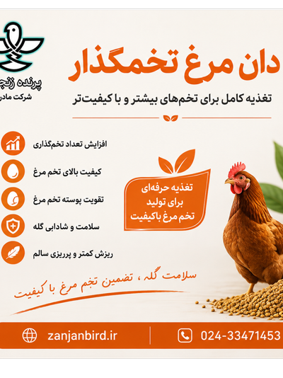 دان مرغ تخمگذار صنعتی 5 کیلویی