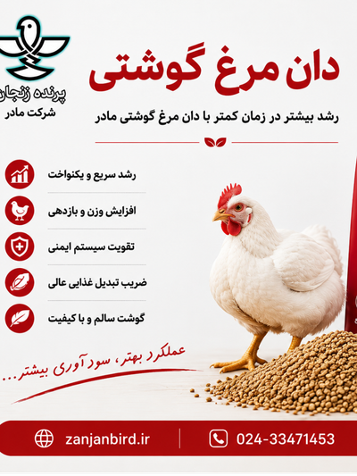 دان مرغ گوشتی صنعتی 5 کیلویی