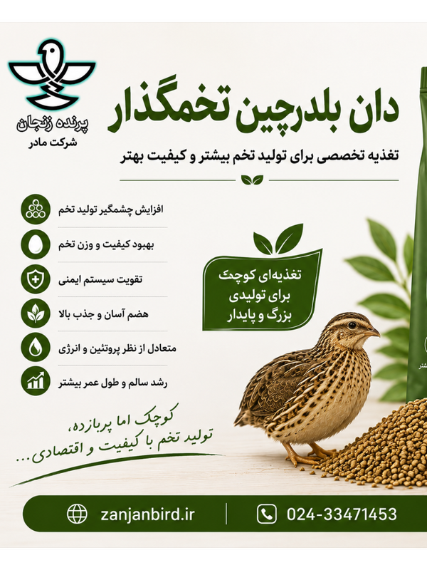 دان بلدرچین تخمگذار صنعتی 5 کیلویی