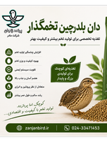 دان بلدرچین تخمگذار صنعتی 5 کیلویی