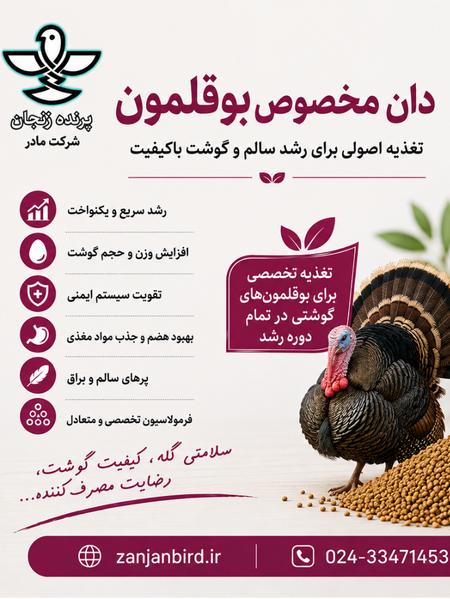 دان بوقلمون گوشتی صنعتی 5 کیلویی