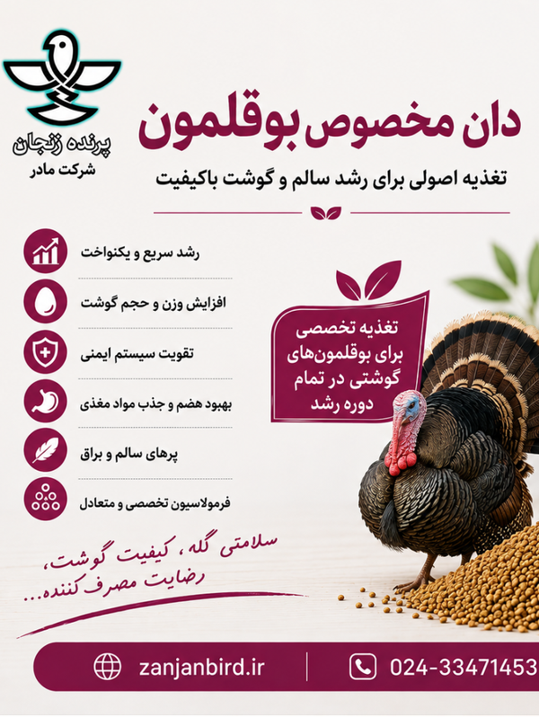 دان بوقلمون گوشتی صنعتی 5 کیلویی