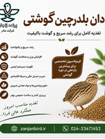 دان بلدرچین گوشتی صنعتی 5کیلویی