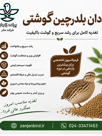 دان بلدرچین گوشتی صنعتی 5کیلویی