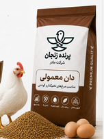 دان طیور معمولی 5 کیلویی