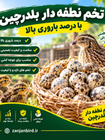 تخم نطفه دار 50 عددی