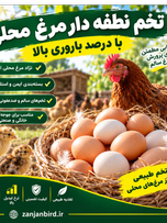 تخم نطفه دار مرغ محلی 50 عددی
