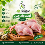 گوشت بلدرچین 1 عددی برند مادر