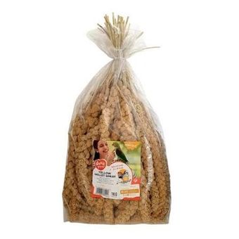 ارزن خوشه ای بنلوکس بلژیک