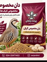 دان کبک تخمگذار صنعتی 5 کیلویی