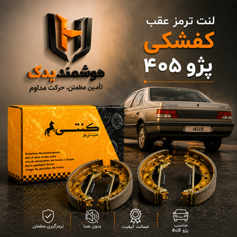 لنت ترمز عقب کفشکی پژو 405