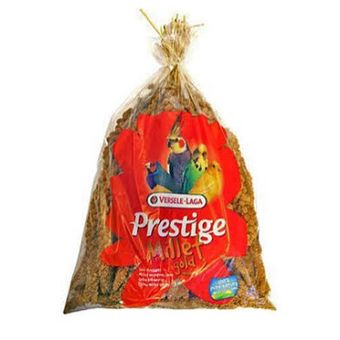 ارزن خوشه ای ورسالاگا بلژیک