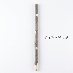 نشیمن قفس کاسکویی| آرایی
