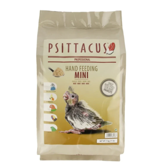 سرلاک مینی سیتاکوس طوطی سانان psittacus mini hand feeding
