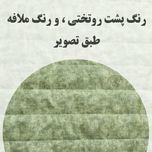 سرویس روتختی یک‌نفره دخترانه طرح خرگوش و پروانه