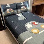 روتختی یک‌نفره پسرانه طرح دایناسور