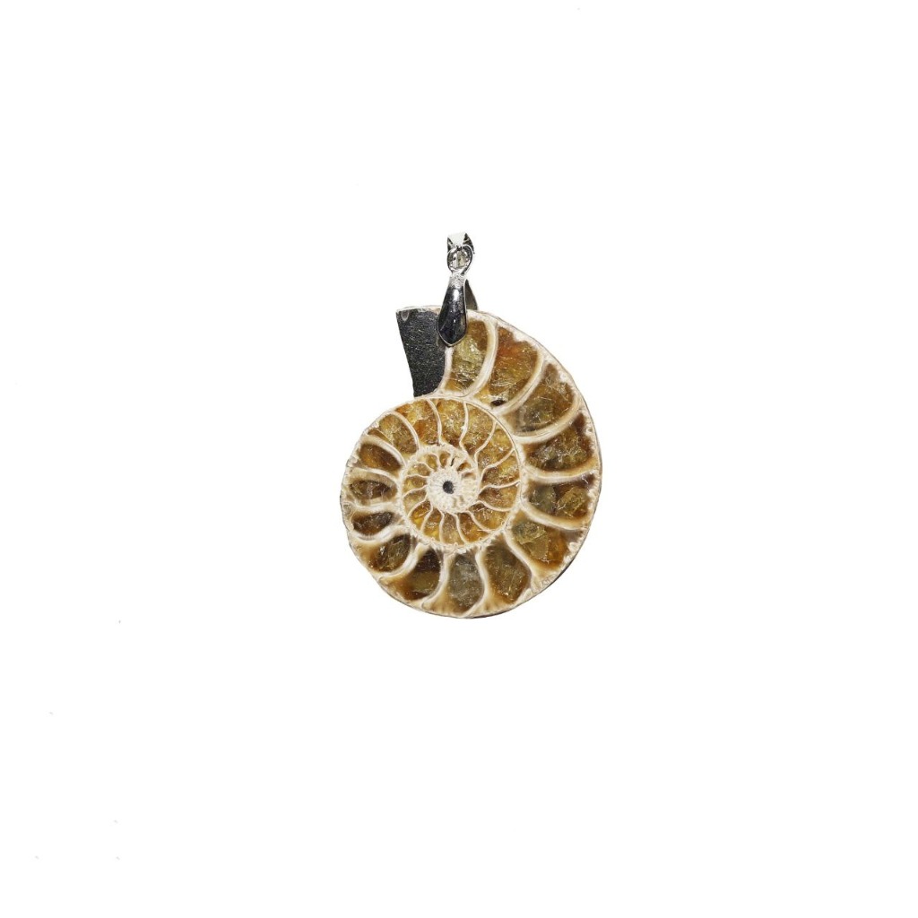 تصویر گردنبند فسیل آمونیت 