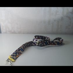 بند عینک روبانی