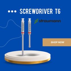 اسکرو درایور T6 اشترومن/ آچار هندپیس