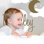 استند اسم دیواری مدل sk149