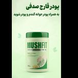 پودر قارچ صدفی به همراه پودر جوانه گندم و پودر شوید الن بیوتی