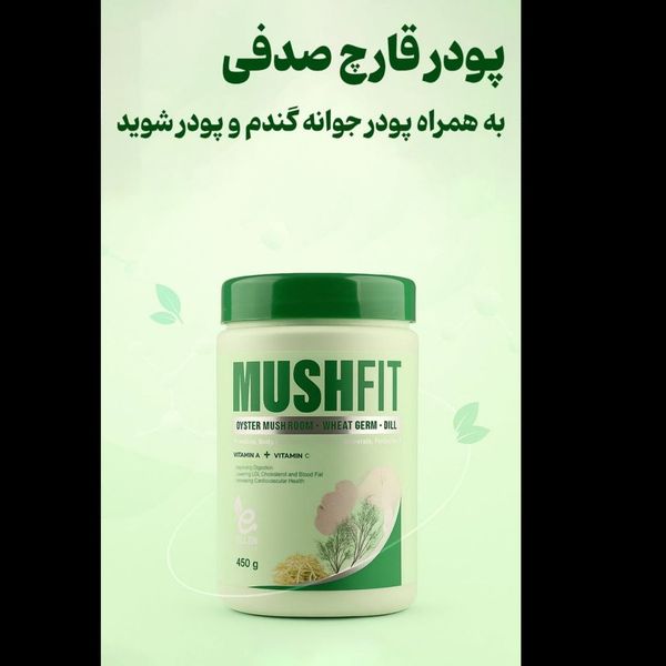 پودر قارچ صدفی به همراه پودر جوانه گندم و پودر شوید الن بیوتی