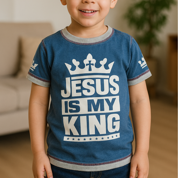 تیشرت تک پسرانه نیل سنگشور