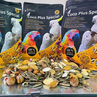 خوراک طوطی کاسکو کاکادو کوکو پلاس جایزه دار