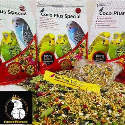 دان میکس مرغ عشق کوکو پلاس همراه با اشتانتیون