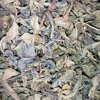 چای سبز ایرانی