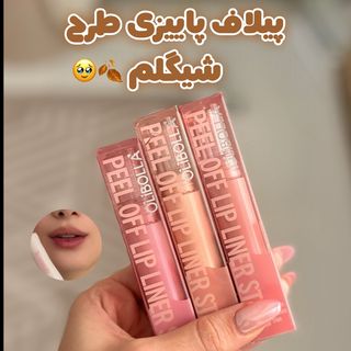 پیلاف لب طرح شیگلم